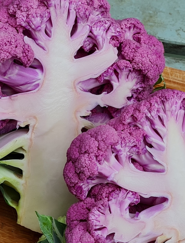 Brassica Trials 2021 3 028