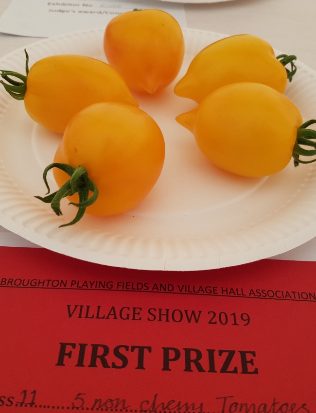 Broughton Show 2019 091