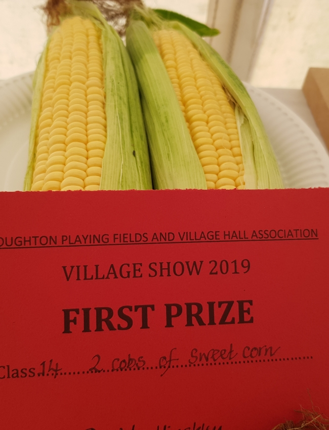 Broughton Show 2019 099