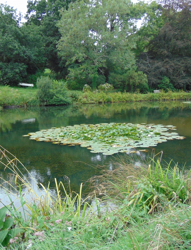 DSC00011