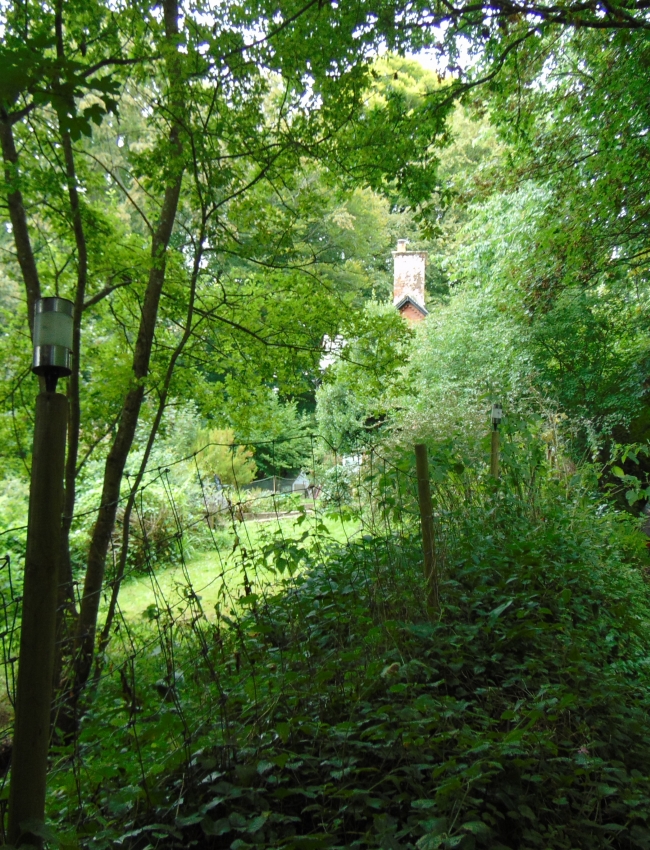 DSC00013