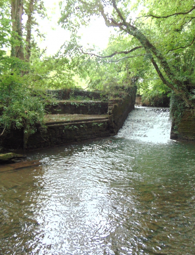DSC00022