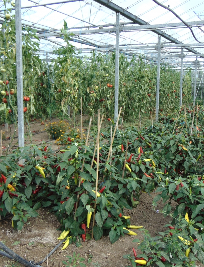 DSC00119