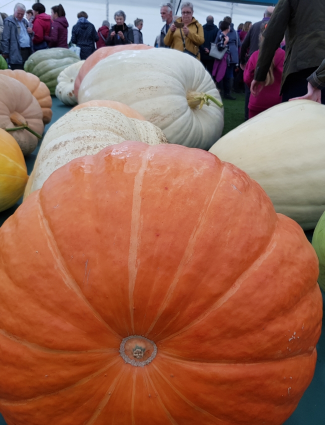 Malvern Autumn 2019 090