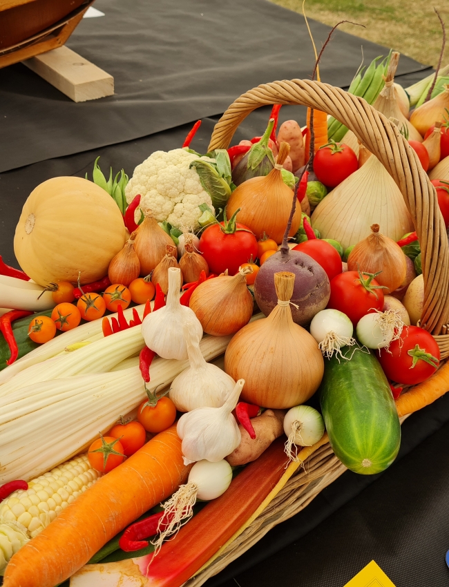 Malvern Show 2021 013