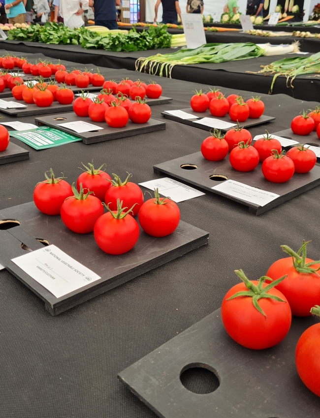 Malvern Show 2021 033