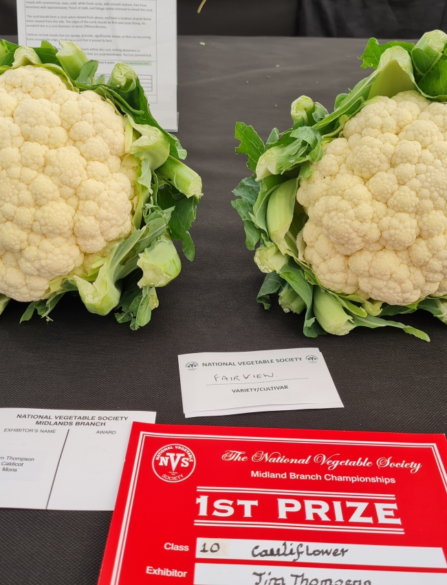 Malvern Show 2021 037