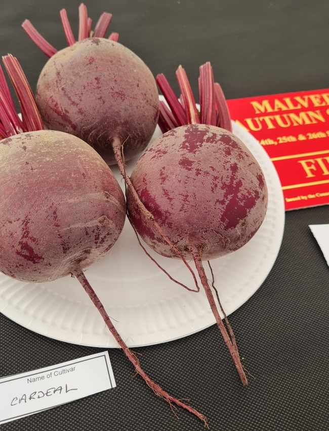 Malvern Show 2021 040