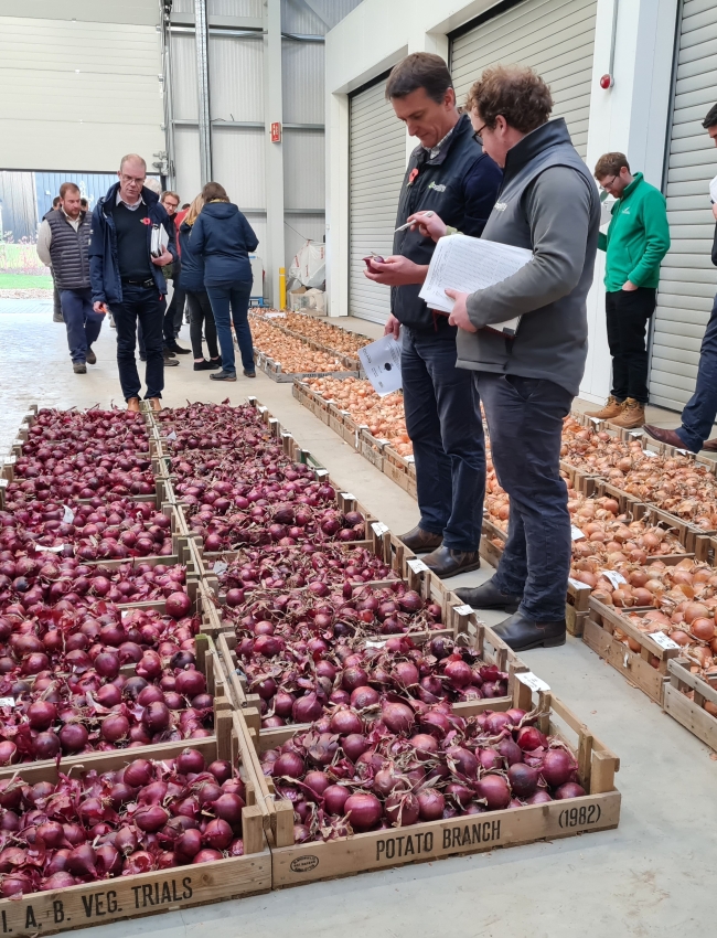 Onion Trials 2021 002