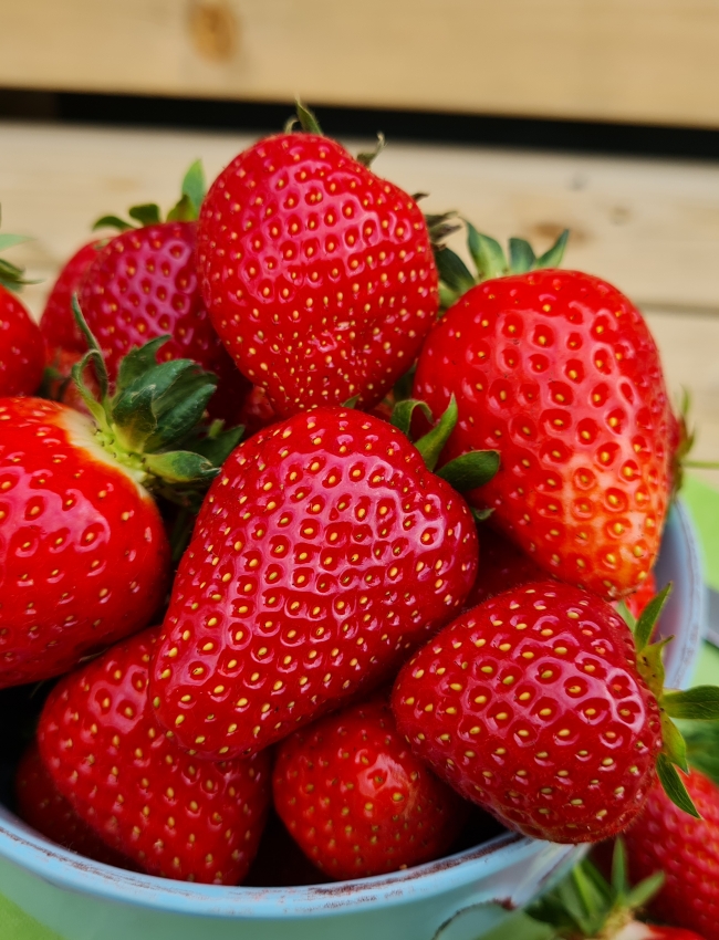 Strawberries 2021 017