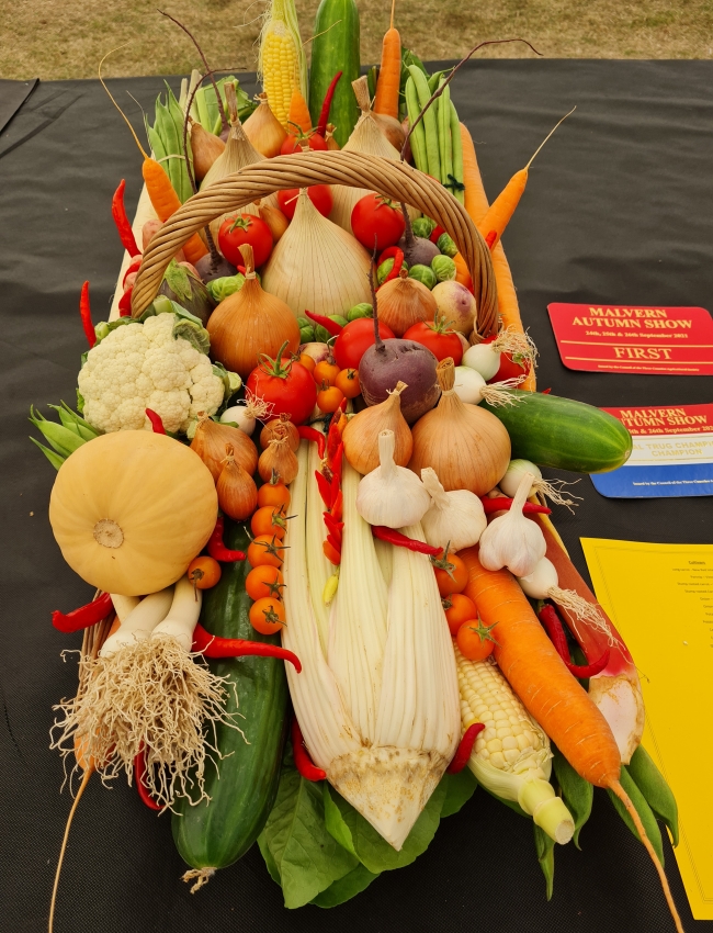 Malvern Show 2021 015
