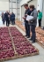 Onion Trials 2021 002