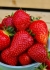 Strawberries 2021 18