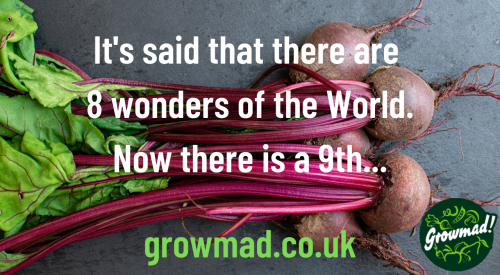 8 wonders of the World6. Now there is a 9th...