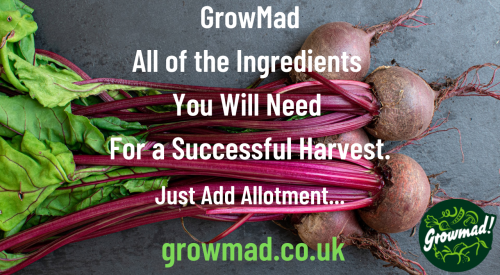All of the Ingredients just add allotment6