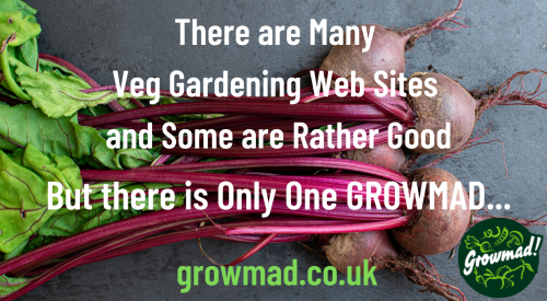 But There is Only One GrowMad5...