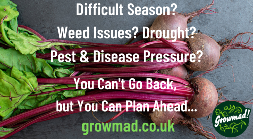 Difficult Season Weed Issues3