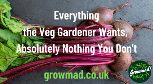 Everything the veg gardener wants4
