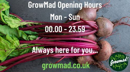 GrowMad opening hours