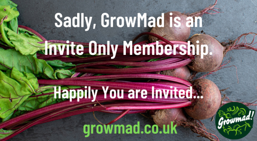 Happily you are invited