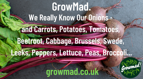 We really know our onions2