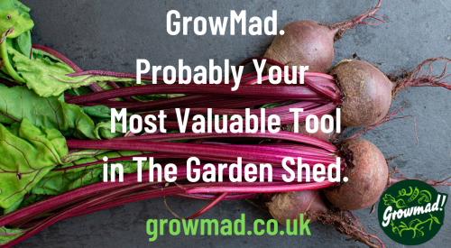Your most valuable tool3