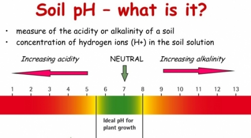 pH Scale 5