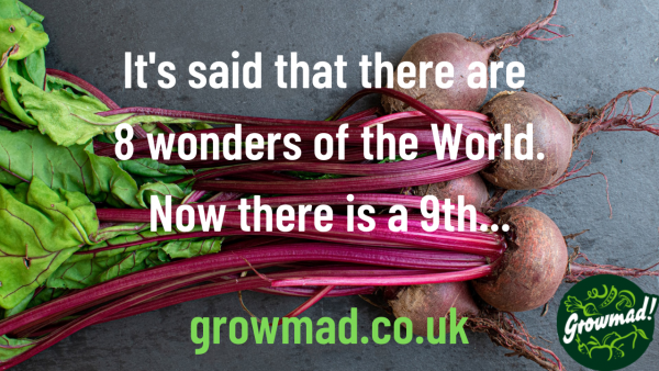 Its said that there are 8 wonders of the World2. Now there is a 9th...