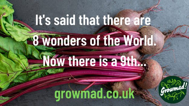 8 wonders of the World. Now there is a 9th...