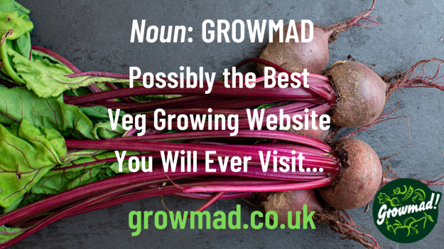 Noun GrowMad2