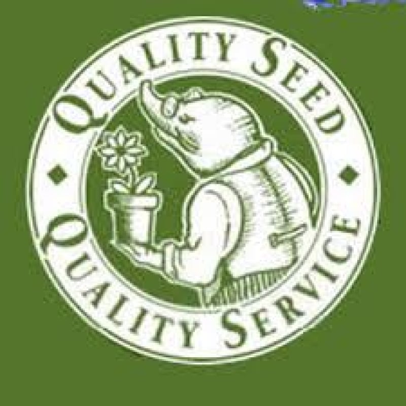 9b Moles Seeds2