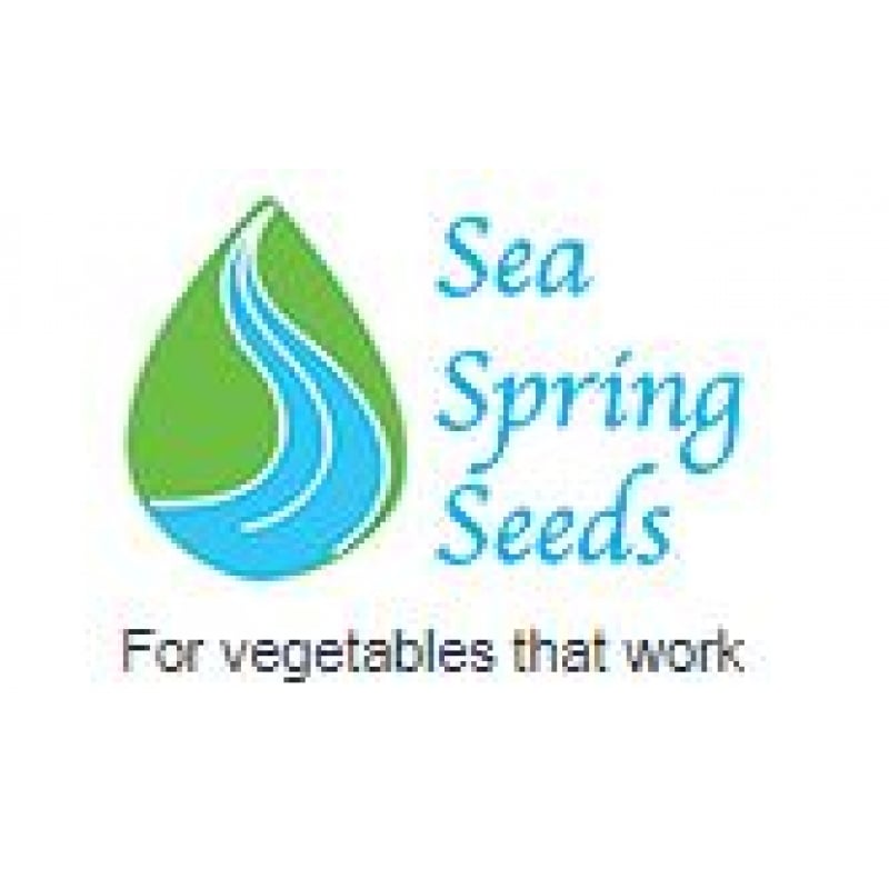 Sea Spring Seeds2