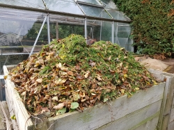 Late October 2019 117