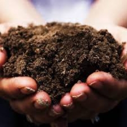 Compost