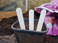 Plant Labels 013