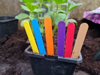 Plant Labels 017