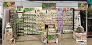 Kings Seeds HTA