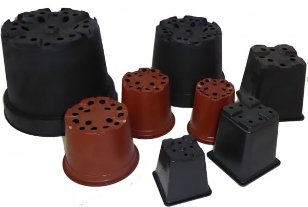 Pots Web