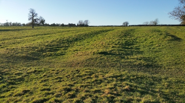 Ridge and Furrow