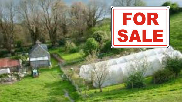 Smallholdings for Sale 5