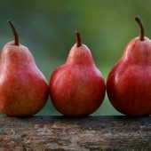 Pears
