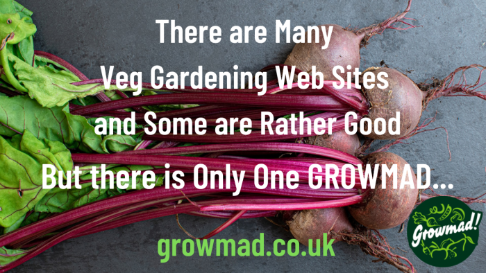 But There is Only One GrowMad...