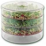 seed sprouter